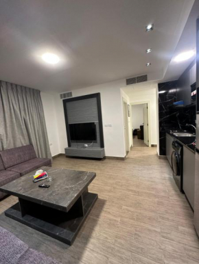 central apartment for rent 17